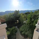 Maslina * Petraca